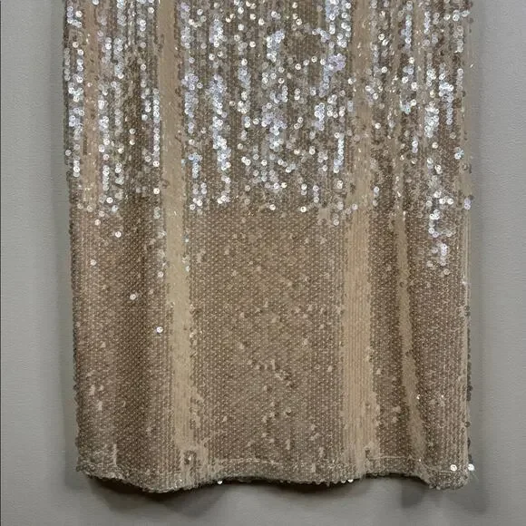 Gianni Bini Kate Sequin Maxi Skirt Dove Silver NWT Size Small Holiday Party - Picture 3 of 6